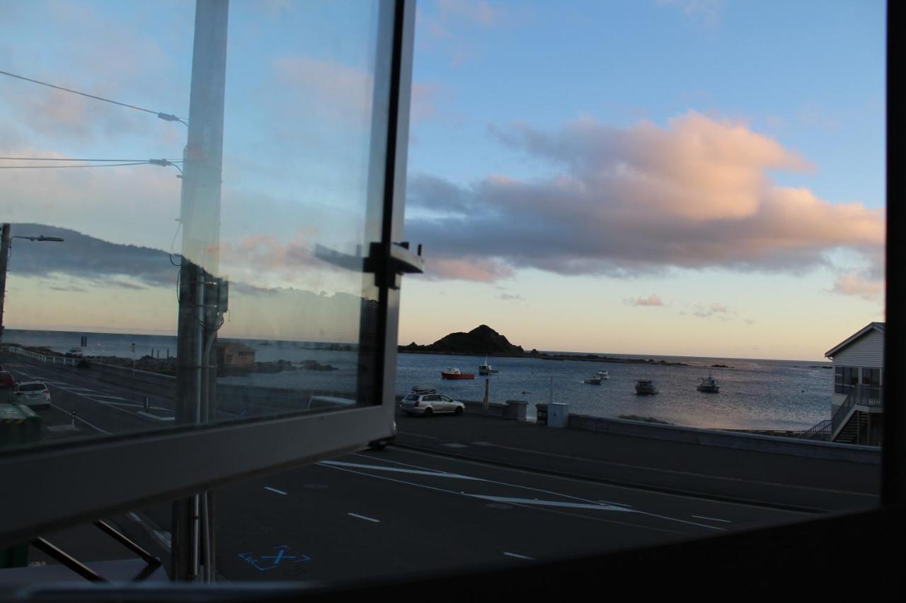 Modern & Cosy Studio Unit On Island Bay Beachfront Wellington Eksteriør billede