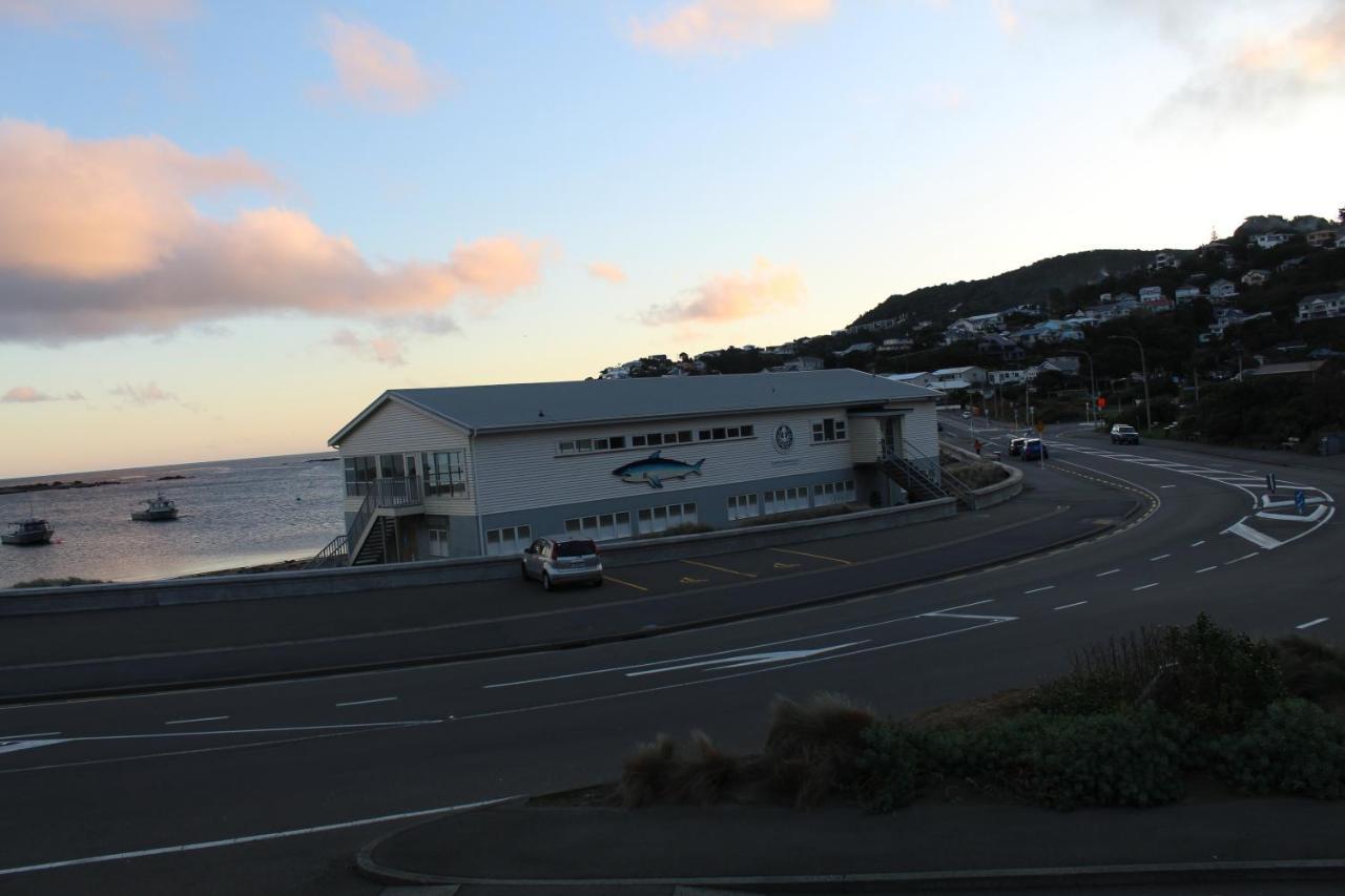 Modern & Cosy Studio Unit On Island Bay Beachfront Wellington Eksteriør billede